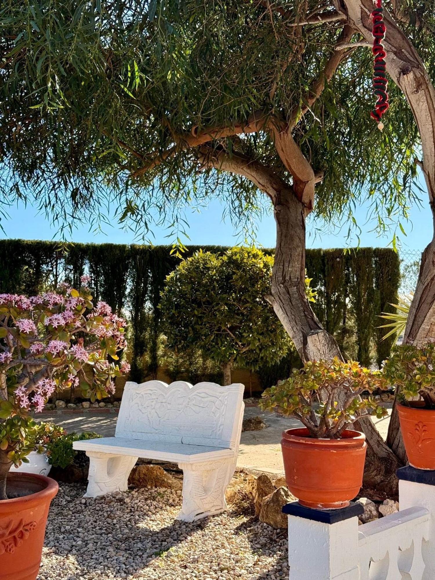 Turís Finca Malata المظهر الخارجي الصورة